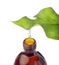 Bottle with homeopathy balm and leaf