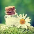 Bottle of homeopathy globules and daisy flower on moss. Royalty Free Stock Photo