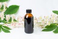 Bottle of horse chestnut extract, essence of chestnut flowers. Flowering branches and leaves of horse chestnut