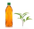 Bottle of ice tea and green tea Royalty Free Stock Photo