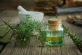 Bottle of juniper oil, mortar and Juniperus communis twigs. Herbal and homeopathic medicine