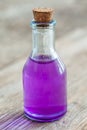 Bottle of lavender essential oil or potion. Royalty Free Stock Photo