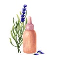 Bottle with lavender flowers essential oil. Watercolor illustration. Royalty Free Stock Photo