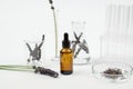 Bottle of lavender oil on the table in the laboratory. Fresh lavender flowers, laboratory flasks and test tubes Royalty Free Stock Photo