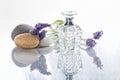 A bottle of Lavender perfume next to some flowers with stones isolated