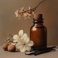Bottle on light brown odoriferous background, vanilla flowers and hazelnut fruit Royalty Free Stock Photo