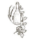 Bottle with liquid and bubbles around which hops and wheat in black and white graphics on a white background. monochrome