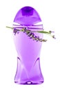 Bottle of liquid soap with lavender flower Royalty Free Stock Photo