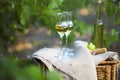 Bottle of liquor or grappa and glasses with bunch of grapes