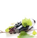 Bottle of luxury red wine and grape vine isolated over white background Royalty Free Stock Photo