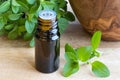 A bottle of marjoram essential oil with fresh marjoram twigs Royalty Free Stock Photo