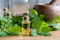A bottle of melissa essential oil with fresh melissa leaves Royalty Free Stock Photo