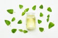 A bottle of melissa lemon balm essential oil with fresh leaves. Royalty Free Stock Photo