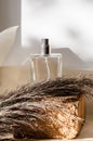 Bottle of men`s perfume on a light background Royalty Free Stock Photo