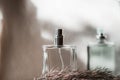 Bottle of men`s perfume on a light background Royalty Free Stock Photo