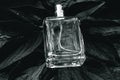 Bottle of men`s perfume with water drops on a background of wet leaves Royalty Free Stock Photo