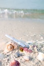 Bottle with a message or letter on the beach near seashell. SOS. Copy space. Royalty Free Stock Photo