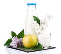 Bottle of milk Royalty Free Stock Photo