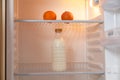 Bottle of milk and oranges stand in empty fridge