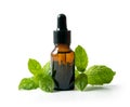 Bottle with mint essential oil and green leaf isolated on white background Royalty Free Stock Photo