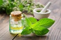 Bottle of mint essential oil and peppermint leaves. Mortar of spearmint leaves and blossom Mentha piperita medinal plants.