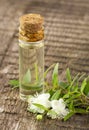 Bottle with mirtle essential oil, myrtle flowers and leaves on a branch on wooden rustic background