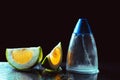 Bottle of modern male perfume and citrus slices Royalty Free Stock Photo