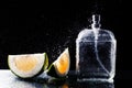 Bottle of modern male perfume and citrus slices Royalty Free Stock Photo