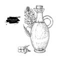 Bottle of mustard oil with plant. Vector Hand drawn illustration. Royalty Free Stock Photo