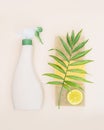 A bottle of natural detergent for windows and glass surfaces, sponges for washing and slice of lemon