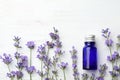Bottle with natural essential oil and lavender flowers on white wooden background, flat lay. Royalty Free Stock Photo