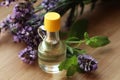 Bottle of natural essential oil, mint leaves and lavender flowers on wooden table, closeup Royalty Free Stock Photo