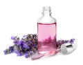 Bottle with natural lavender oil, flowers and dropper Royalty Free Stock Photo