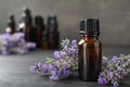 Bottle with natural lavender oil and flowers on wooden table against grey background, closeup view Royalty Free Stock Photo