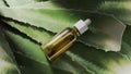 Bottle natural oil aloe, medicine beauty health, background, liquid cosmetic serum. Glass Bottle, care organic herbal, treatment