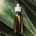 Bottle natural oil aloe, medicine beauty health, background, liquid cosmetic serum. Glass Bottle, care organic herbal, treatment