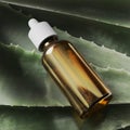 Bottle natural oil aloe, medicine beauty health, background, liquid cosmetic serum. Glass Bottle, care organic herbal, treatment