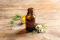 Bottle of natural tea tree oil and plant Royalty Free Stock Photo