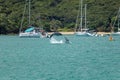 Bottle Nose Dolphins Jump And Play Together Royalty Free Stock Photo