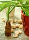 Bottle with oil of aloe vera and stones Royalty Free Stock Photo