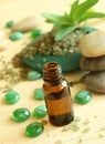 Bottle of oil, bath salts and stones Royalty Free Stock Photo