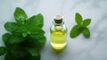 Bottle of oil with green leaves. Essential oil of peppermint in bottle with fresh green.