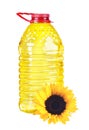 Bottle oil plastic big and sunflower on white Royalty Free Stock Photo