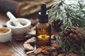 Bottle of oil or tincture, pine bark, mortars of powdered pine bark and branches of pine tree. Old books on background Royalty Free Stock Photo