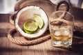 Bottle of old rum, nintendo rum with ice slice and coconut Royalty Free Stock Photo