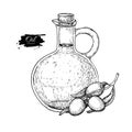 Bottle of olive oil and olive branch. Vector Hand drawn illustration. Glass pitcher vintage Royalty Free Stock Photo