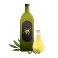 Bottle of olive oil and olives. Isolated vector illustration