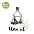 Bottle with olive oil and olives and leaves. Food and cosmetic vector old looking illustration. Ideal for restaurant menu designs