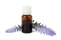 Bottle of organic essential oil and lavender flowers on white background Royalty Free Stock Photo