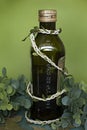 Bottle of organic extra virgin olive oil with spices on a uniform green background with leaves